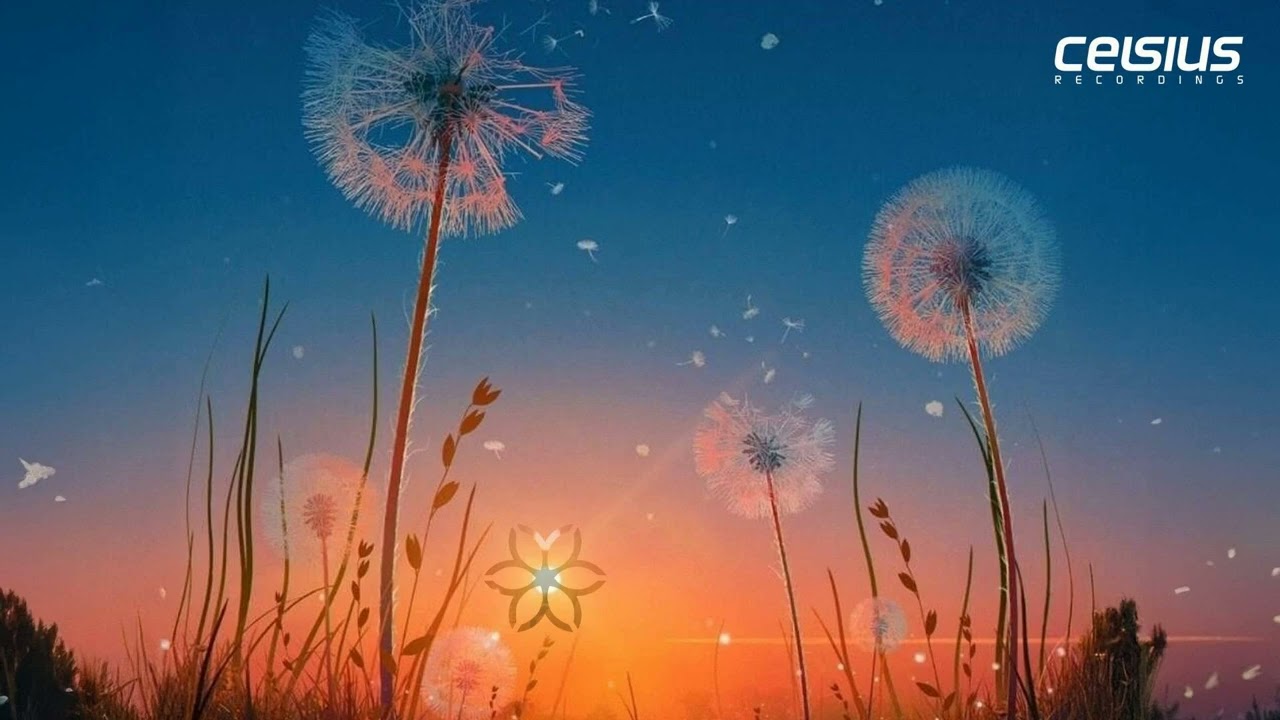 Fluid Form & SundayGrooves - Summertime Blues