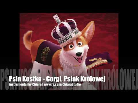 Psia Kostka - Corgi, Psiak Królowej - instrumental karaoke podkład muzyczny cover by Chiara