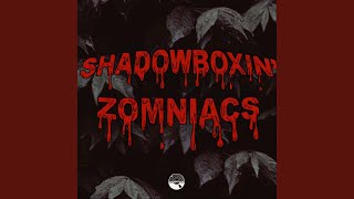Shadowboxin' Zomniacs Music Video
