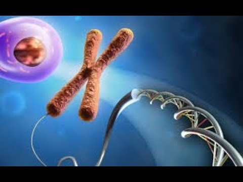 Introduction to Epigenetics - Microlearning (3 Minutes)