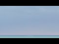 Boris & Michio Kurihara – 不透明度 = You Laughed Like A Water Mark (2018) [Full Album]