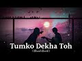 Tumko Dekha Toh Lofi Hamara Dil Aapke Paas Hai Slowed Reverb Old Song S