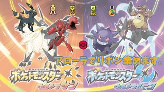 【ポケモンUSUM】プレシャスポケにバトルツリーのリボンつける
