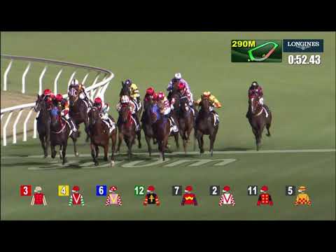 20/10/2021 (106) Happy Gathering- Matthew Chadwick