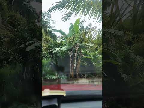 Santa María, Boyacá - 16112025