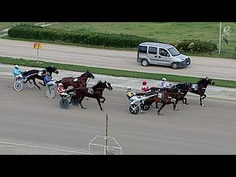 Aversa trotto 19 Dicembre 2020 - 5° Corsa