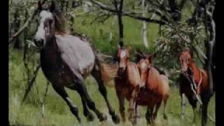 el transformer y la cobra grupo laberinto