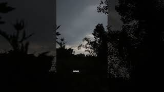 Download lagu story wa 30 detik lagu jawa || story wa pemandangan di pagi hari mp3