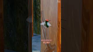 Download lagu Is it possible for a fly to avoid a bullet? 😱 #animation #animation mp3