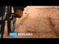 TVP1 Reklama