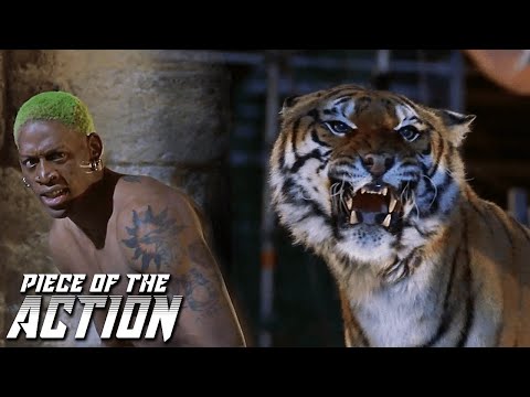 Tiger Set Loose In Amphitheater | Double Team