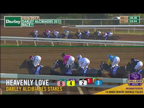 2017 Darley Alcibiades