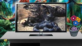 李榮浩 Ronghao Li - 野生動物 Wild Animals (Official 高畫質 HD 官方完整版 MV)