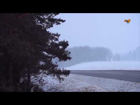 Stormen Cora drar in över Sverige – bilister varnas