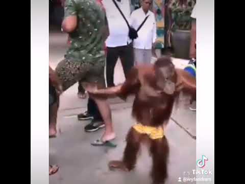 como anda ese que hace prrrrr