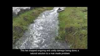 preview picture of video 'Reducing erosion and naturalising a stream at Bedlinog'