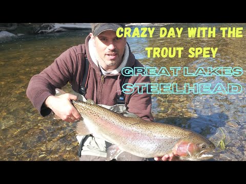 Trout Spey for  Great Lakes Steelhead