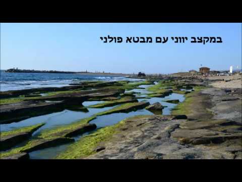 שיר ישראלי.wmv