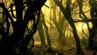 red lorry yellow lorry   nothing wrong