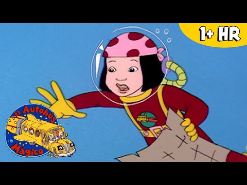 El Mundo Debajo del Mar | Peces y Animales Acuaticos | El Autobús Mágico - Scholastic