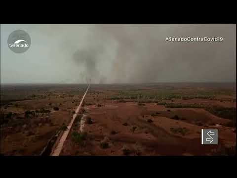 Subcomissão do Senado vai debater projeto que cria Estatuto do Pantanal