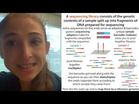 Multiplexing and molecular barcodes (indexes) in NGS (Next Gen Sequencing)