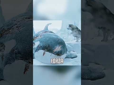 Il sacrificio di Togo 🐕❄️❤️”