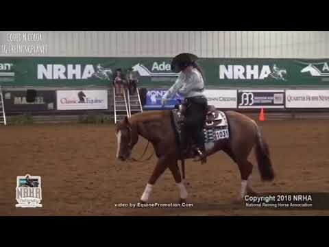 Edit of Coded N Color & Raeanna Thayn- 2018 NRHA Futurity 13&Under Ancillary Champions