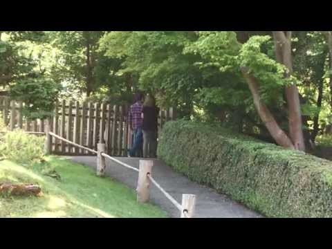 Origo-Aiborne Angel by Danijela