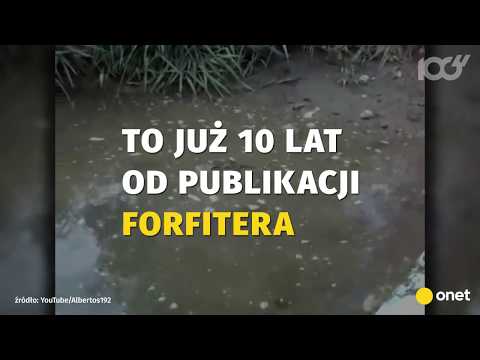 FORFITER ma już 10 lat! | Onet100