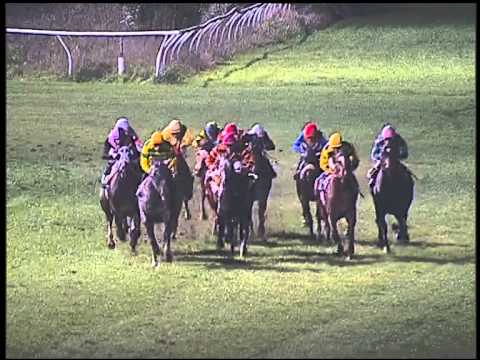 Galoppo 25/01/2015 - 6° corsa - Pr. San Gennaro