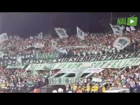 "LA HINCHADA VERDOLAGA ALIENTA DE CORAZÓN" Barra: Los del Sur &bull; Club: Atlético Nacional