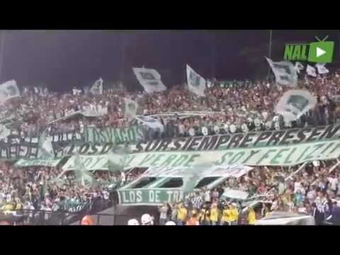 "LA HINCHADA VERDOLAGA ALIENTA DE CORAZÓN" Barra: Los del Sur • Club: Atlético Nacional • País: Colombia