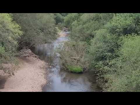 PERDIDO por Santana da Boa Vista RS