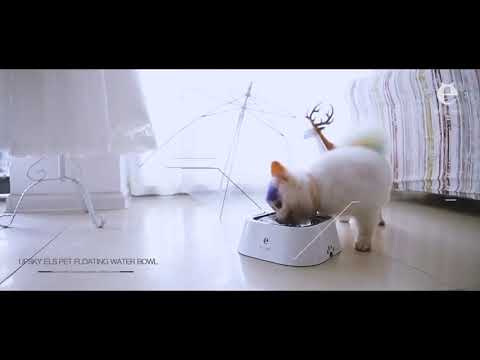 Anti-Spill Magic Cat Water Bowl