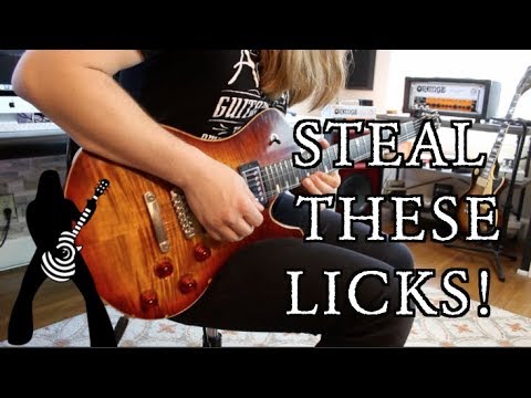 Steal These 5 Blistering Zakk Wylde Licks ( With Tabs!)