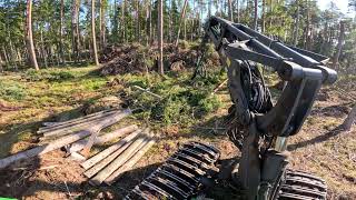 Plynas sanitarinis kirtimas | John Deere 1170G | IBC | H413 | MTH