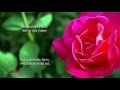 Liar (Sub. Español), 오스카 (Yoon Sang Hyun), Secret Garden OST