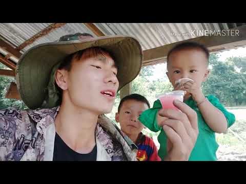 Xy lee 2020 Nej hom zoo zoo nkauj