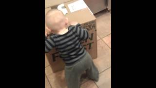 Charlie using box as a walker