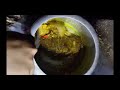 Desi Masala Chicken