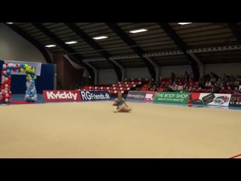 RG Nordisk Mesterskab 2016, Senior, Nicoline Sachmann, Ball, Danmark