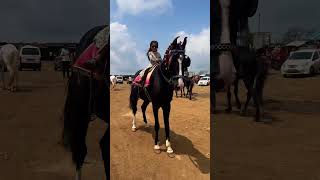 Download lagu Horse video 🐎 | #horse #horses #ghoda #cutebaby #ytshorts #viral #trending #shortsfeed #ytvideo mp3