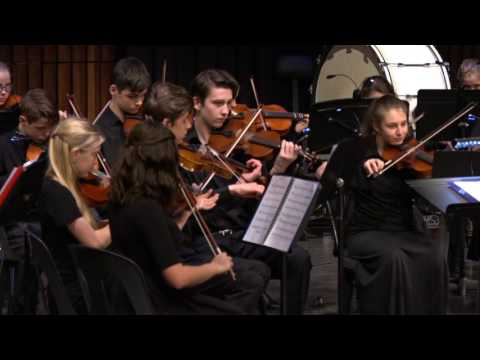 El Toro – Don Brubaker, Eltham High School Intermediate Strings