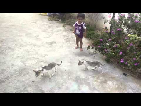 Especially for mokshith Fans