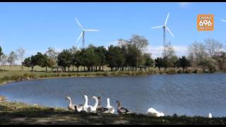 eolico-aziende-contro-la-regione-ci-boicotta