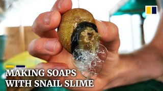 French artisan makes soaps using snail slime