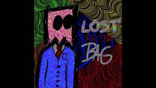 Cover art for Lost in the bag