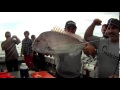 Melbourne Fishing Snapper 2013