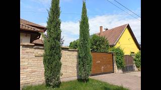 Sövény telepítés. Ültetési távolságok leylandii ciprus, babérmeggy, korallberkenye, olasz ciprus